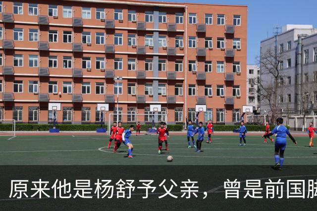 原来他是杨舒予父亲，曾是前国脚，为女儿们搬家广州，已去世1年